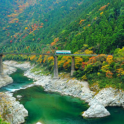 大歩危・小歩危の紅葉