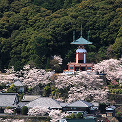 四国第23番霊場 薬王寺